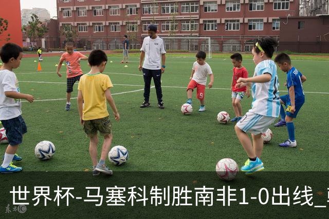 世界杯-马塞科制胜南非1-0出线 韩国积3分获小组第三待定